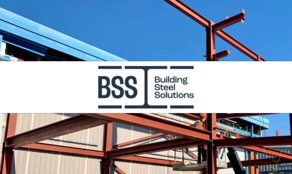 BSS Steels